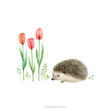 Load image into Gallery viewer, Hedgehog and Tulip - Art Print
