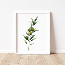 Load image into Gallery viewer, Olive Branch - Art Print
