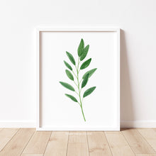 Load image into Gallery viewer, Sage - Art Print
