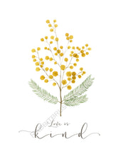 Load image into Gallery viewer, Pressed Mimosa Flower Scripture Art - Love is Kind
