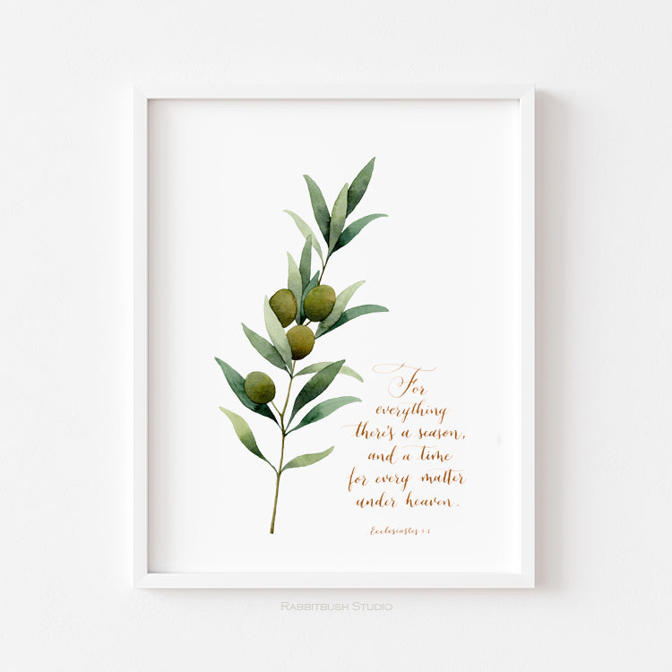 Olive Branch - Ecclesiastes 3:1