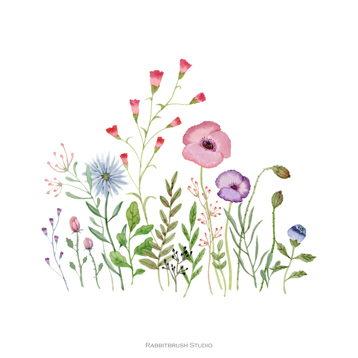 Wildflower - Art Print – Rabbitbrush Studio