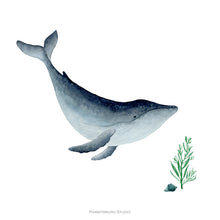 Load image into Gallery viewer, Humpback Whale - Art Print
