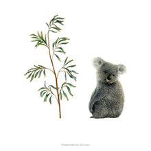 Load image into Gallery viewer, Koala and Eucalyptus - Art Print
