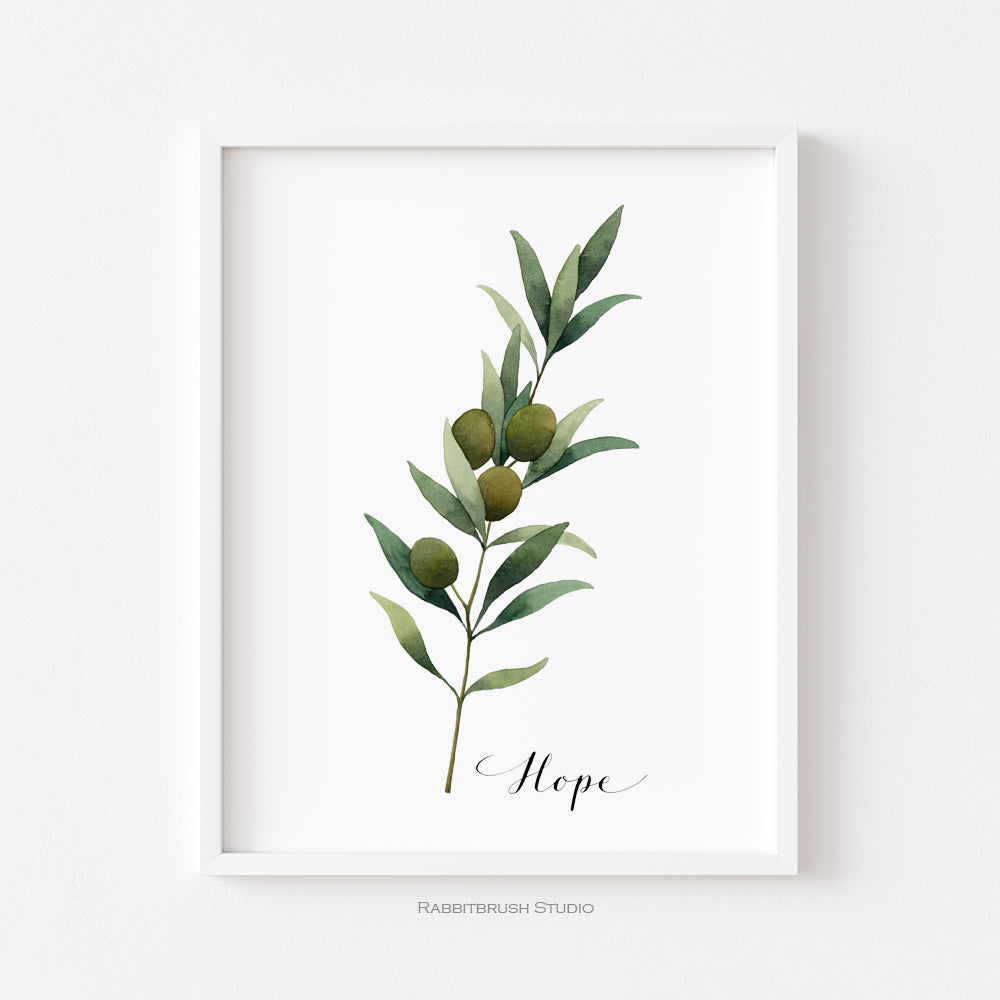 Olive Branch - Hope